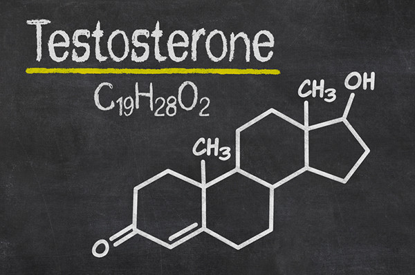 The Testosterone Myth